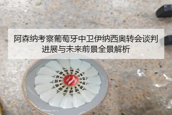 阿森纳考察葡萄牙中卫伊纳西奥转会谈判进展与未来前景全景解析 - kaiyun