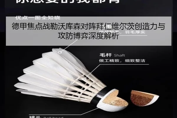德甲焦点战勒沃库森对阵拜仁维尔茨创造力与攻防博弈深度解析 | kaiyun